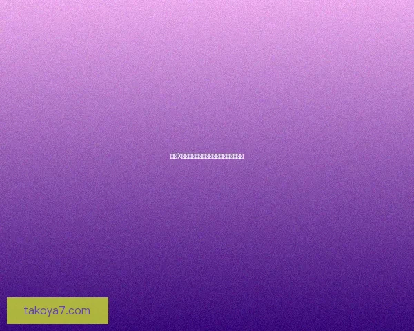 中国X站：解锁无限可能，智享数字生活新篇章